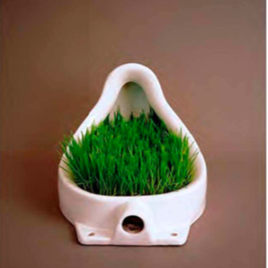 Grass Fountain