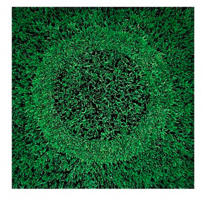 Grass over grass circle