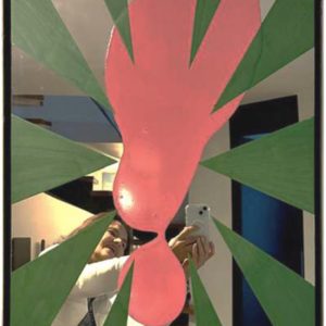 Espejo Rosa – Ray Smith